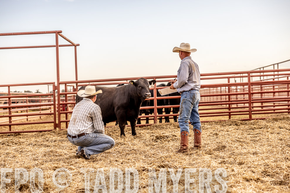 TMyers_SaleBookCover_CameronTX_Sept2021-521121