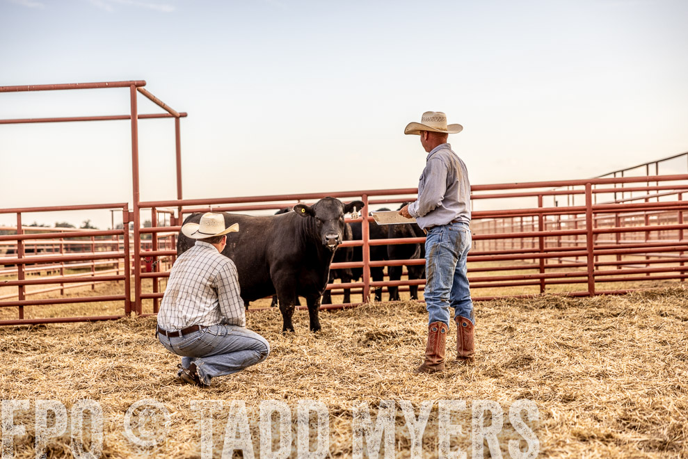TMyers_SaleBookCover_CameronTX_Sept2021-521122