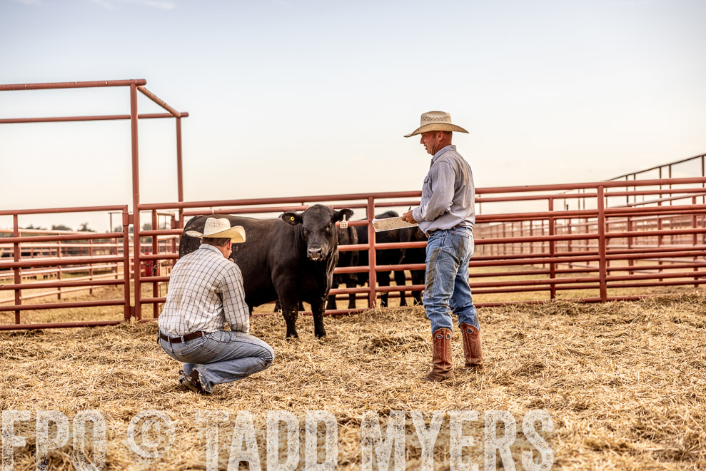 TMyers_SaleBookCover_CameronTX_Sept2021-521124