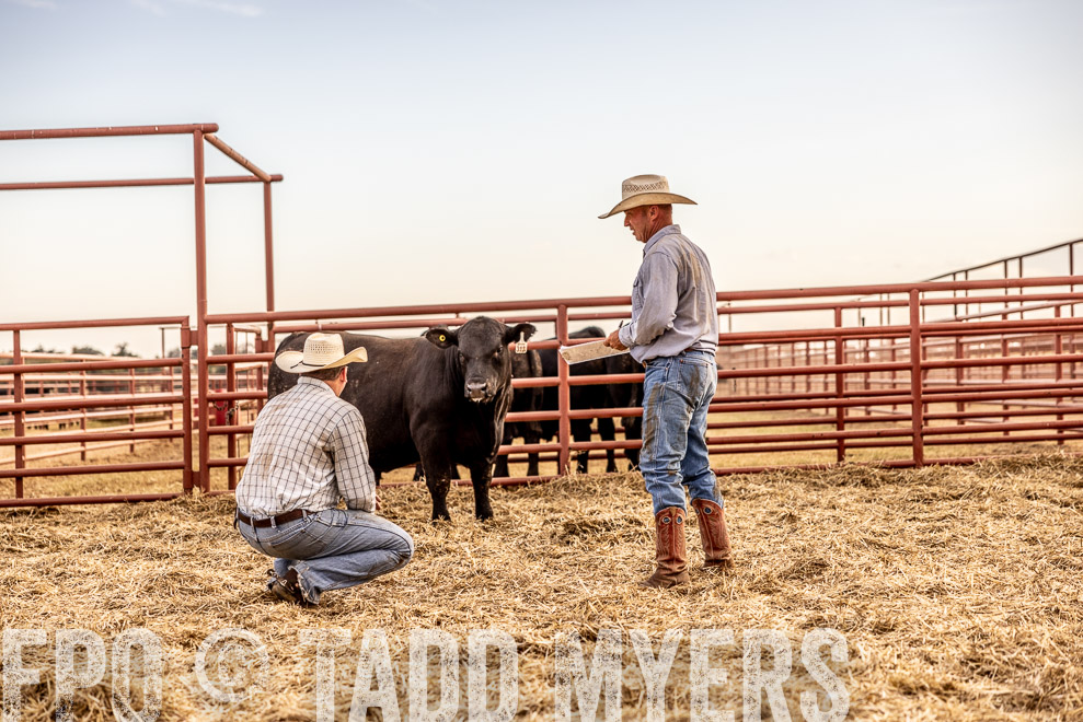 TMyers_SaleBookCover_CameronTX_Sept2021-521125