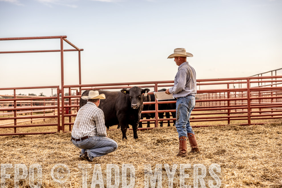 TMyers_SaleBookCover_CameronTX_Sept2021-521128