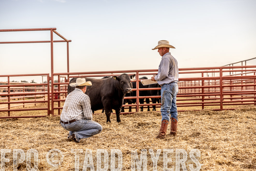 TMyers_SaleBookCover_CameronTX_Sept2021-521132