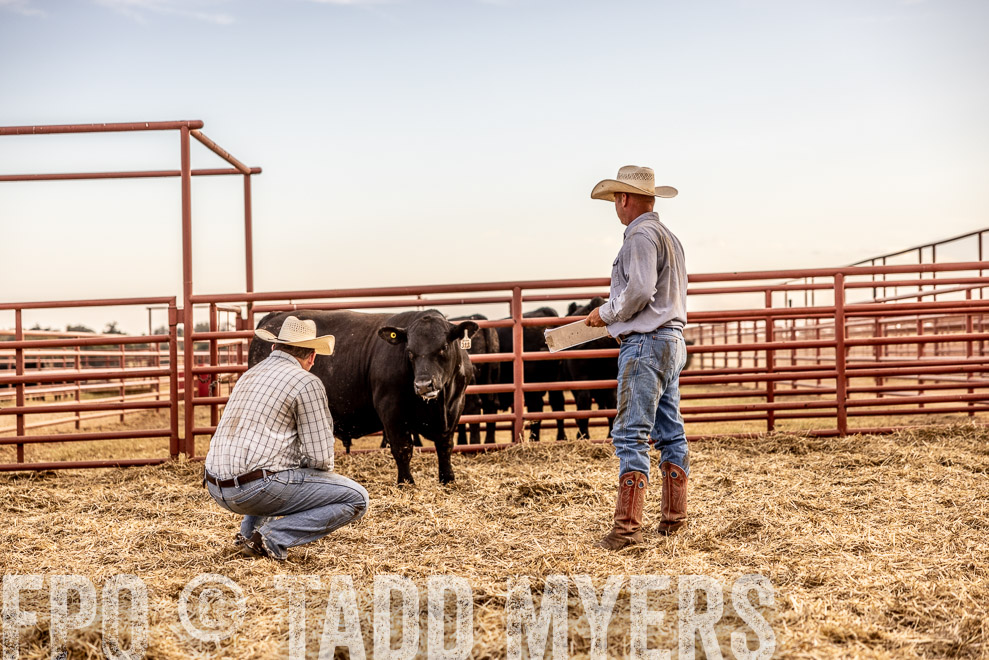 TMyers_SaleBookCover_CameronTX_Sept2021-521149