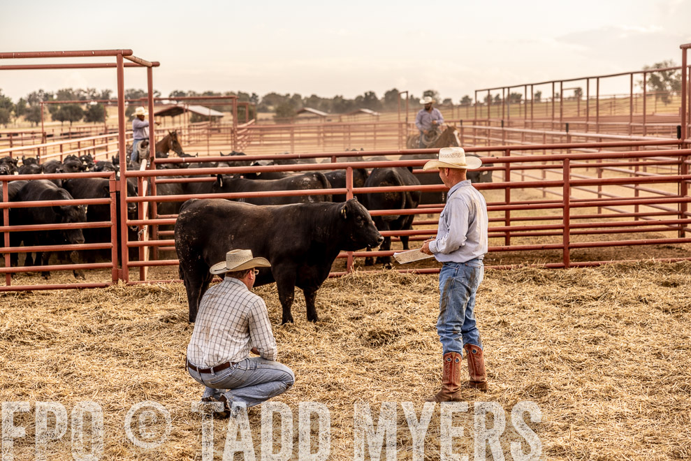 TMyers_SaleBookCover_CameronTX_Sept2021-521174