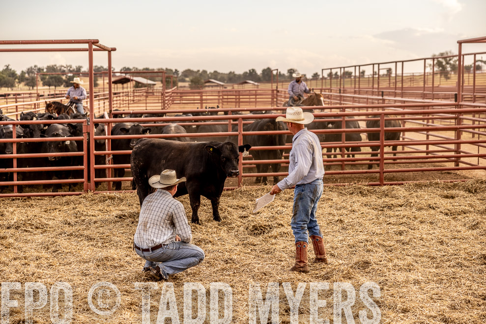 TMyers_SaleBookCover_CameronTX_Sept2021-521192