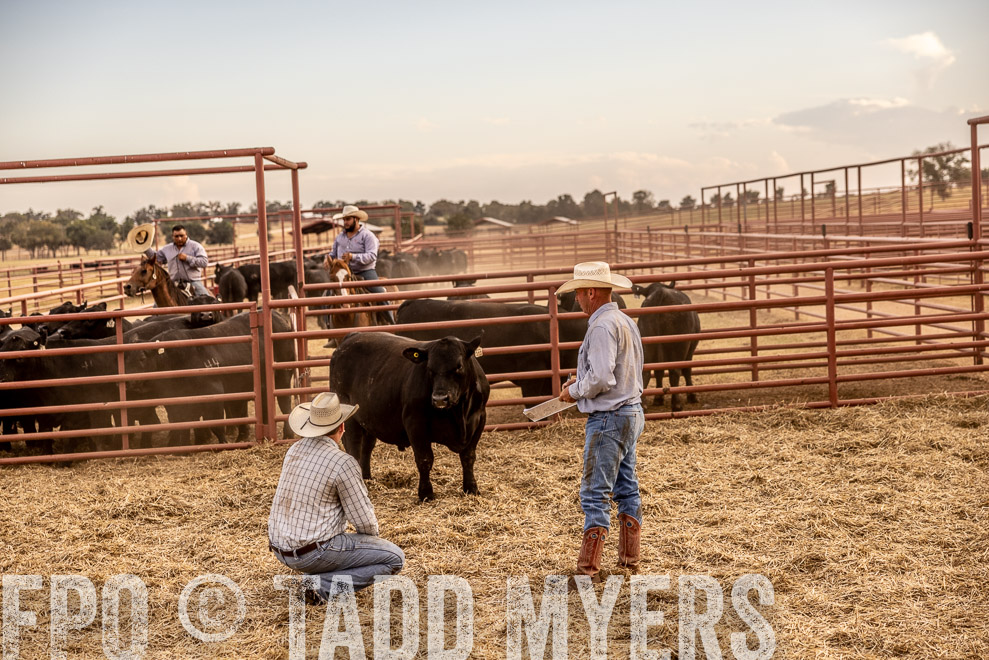 TMyers_SaleBookCover_CameronTX_Sept2021-521328