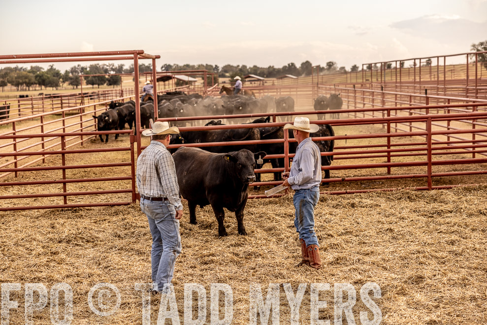 TMyers_SaleBookCover_CameronTX_Sept2021-521378