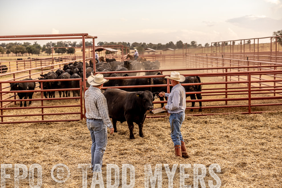 TMyers_SaleBookCover_CameronTX_Sept2021-521395