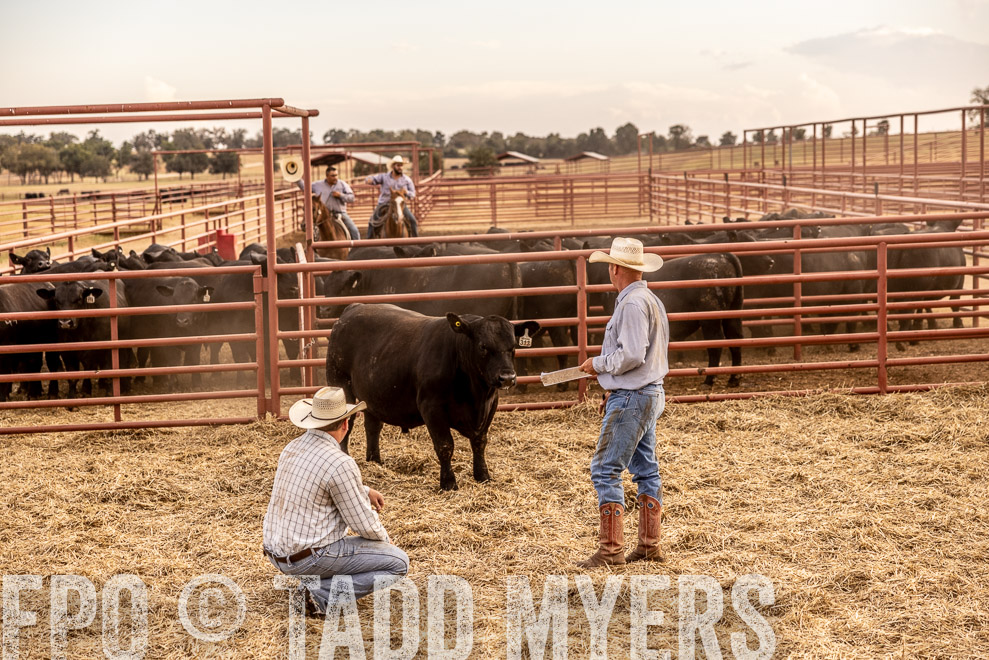 TMyers_SaleBookCover_CameronTX_Sept2021-521471