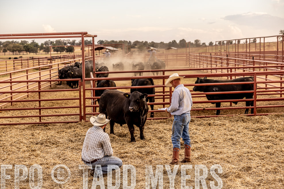 TMyers_SaleBookCover_CameronTX_Sept2021-521535