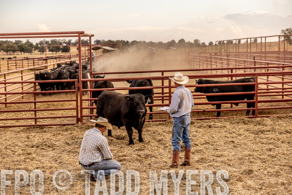 TMyers_SaleBookCover_CameronTX_Sept2021-521538