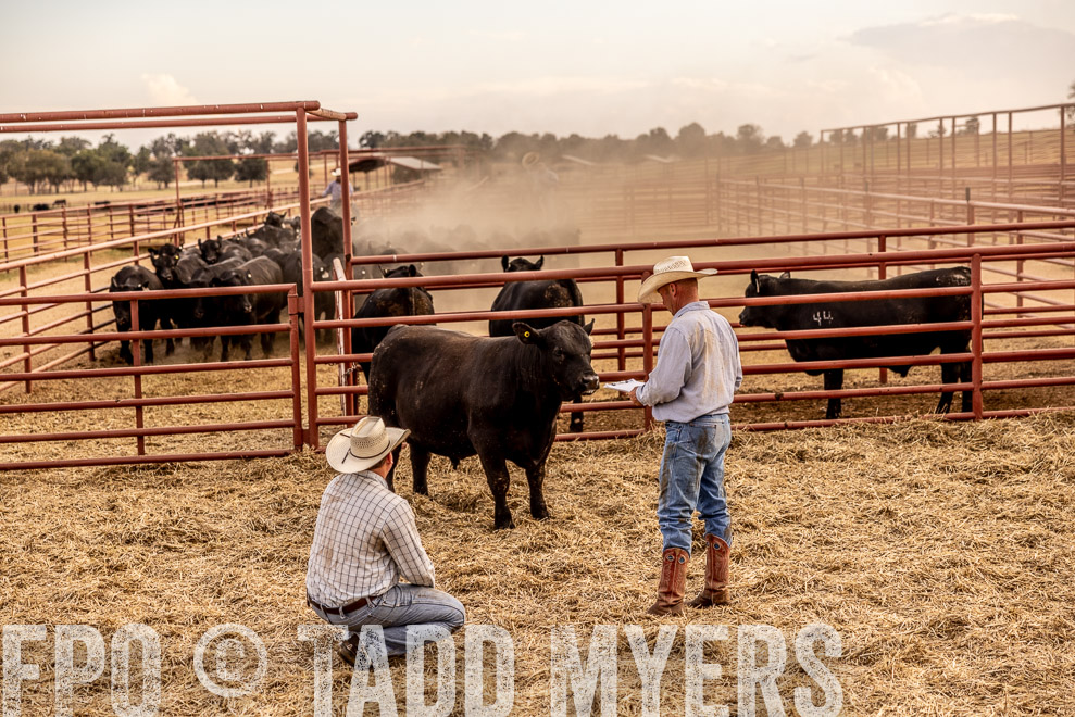 TMyers_SaleBookCover_CameronTX_Sept2021-521540