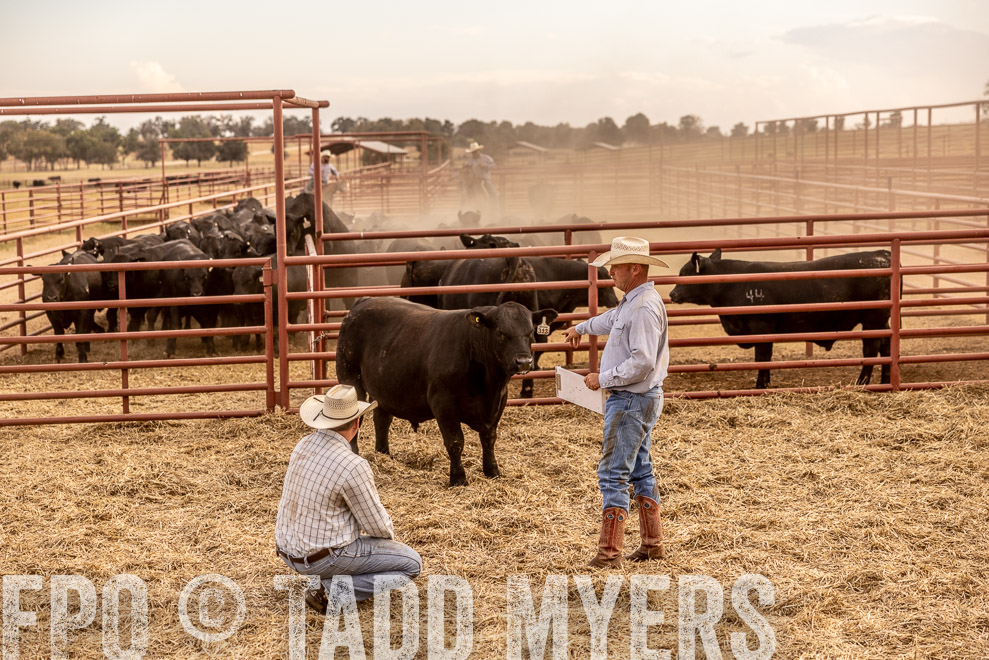 TMyers_SaleBookCover_CameronTX_Sept2021-521543