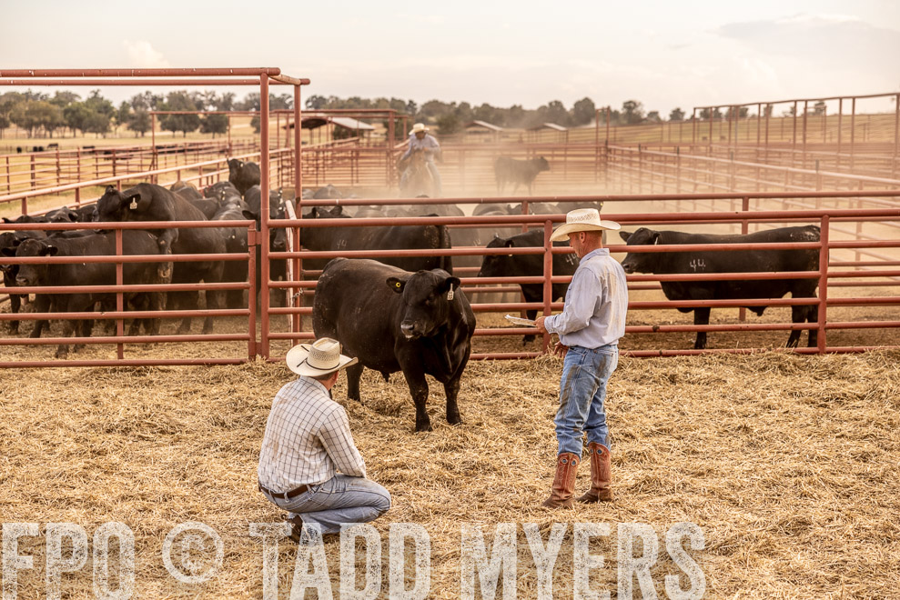 TMyers_SaleBookCover_CameronTX_Sept2021-521554
