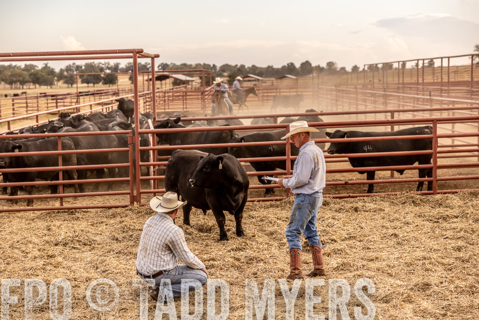 TMyers_SaleBookCover_CameronTX_Sept2021-521557