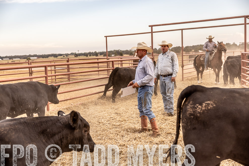 TMyers_SaleBookCover_CameronTX_Sept2021-521656