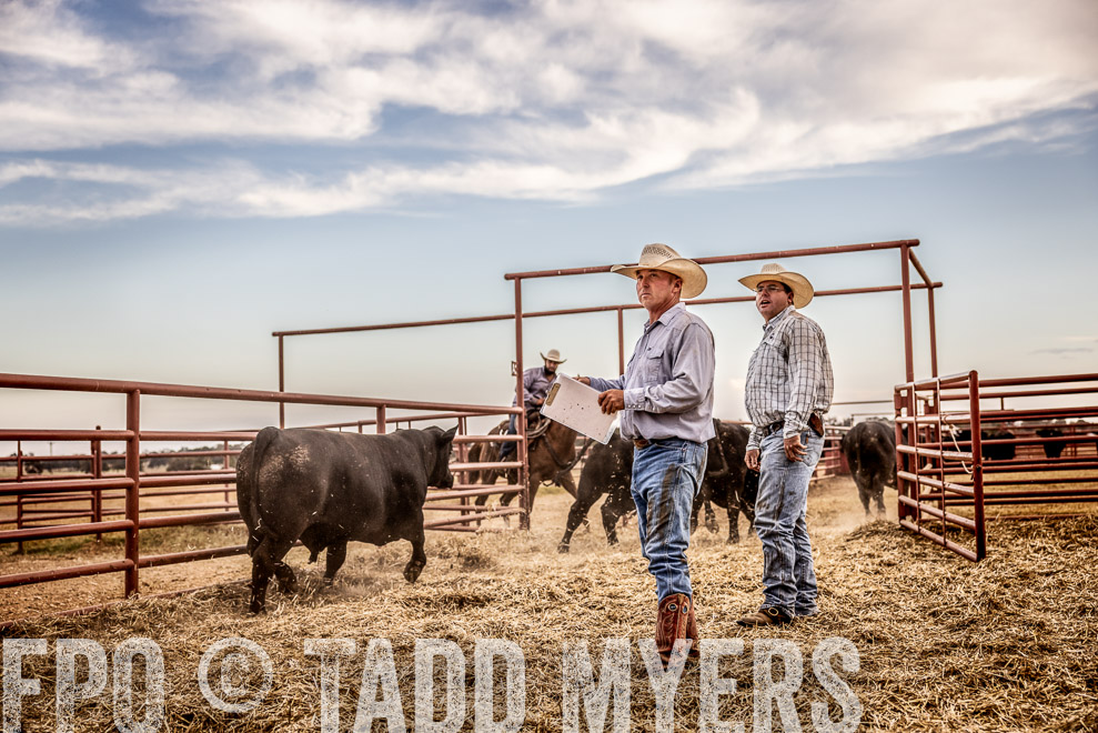 TMyers_SaleBookCover_CameronTX_Sept2021-521732-Edit