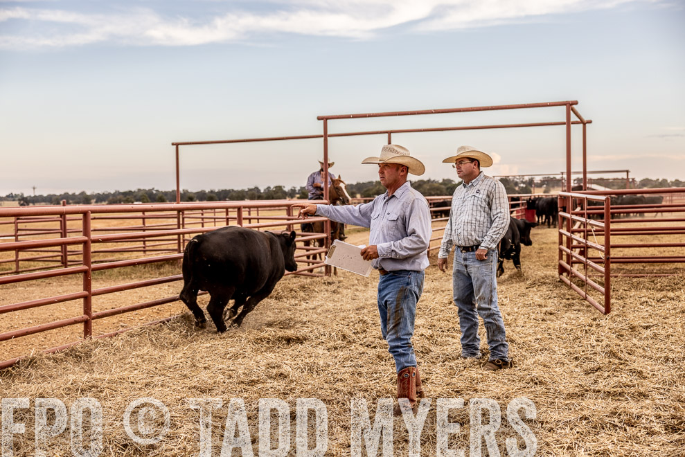 TMyers_SaleBookCover_CameronTX_Sept2021-521750