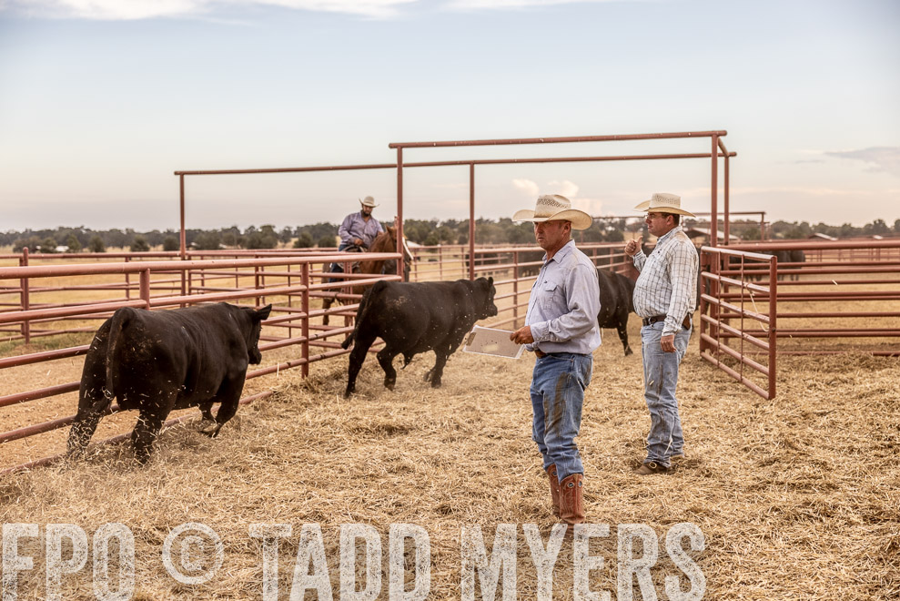TMyers_SaleBookCover_CameronTX_Sept2021-521817