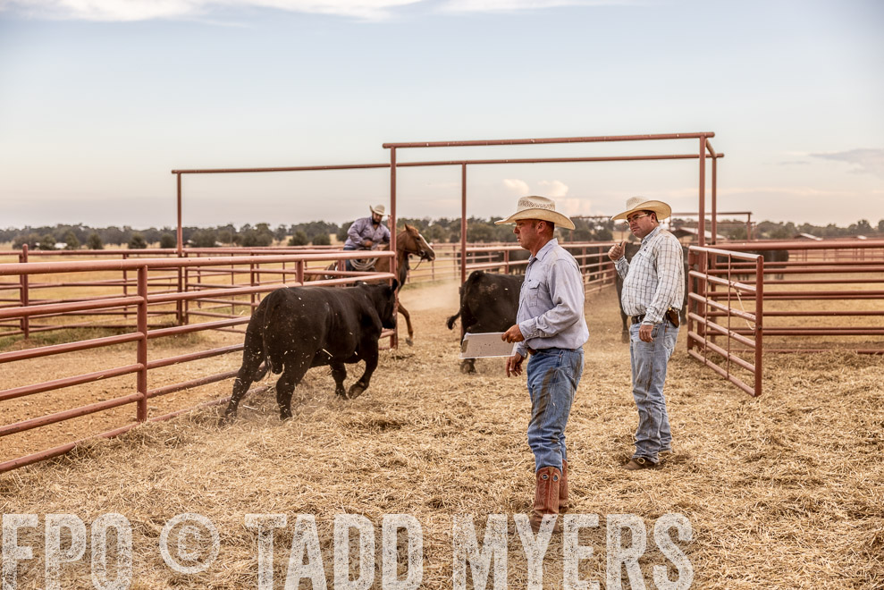 TMyers_SaleBookCover_CameronTX_Sept2021-521818