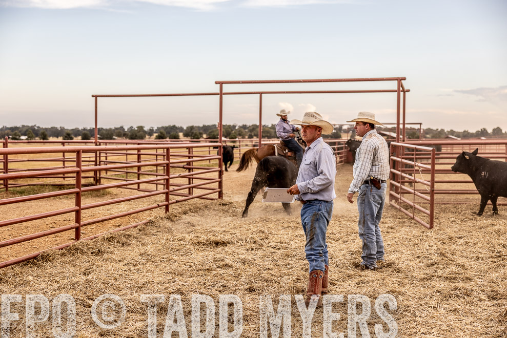 TMyers_SaleBookCover_CameronTX_Sept2021-521820