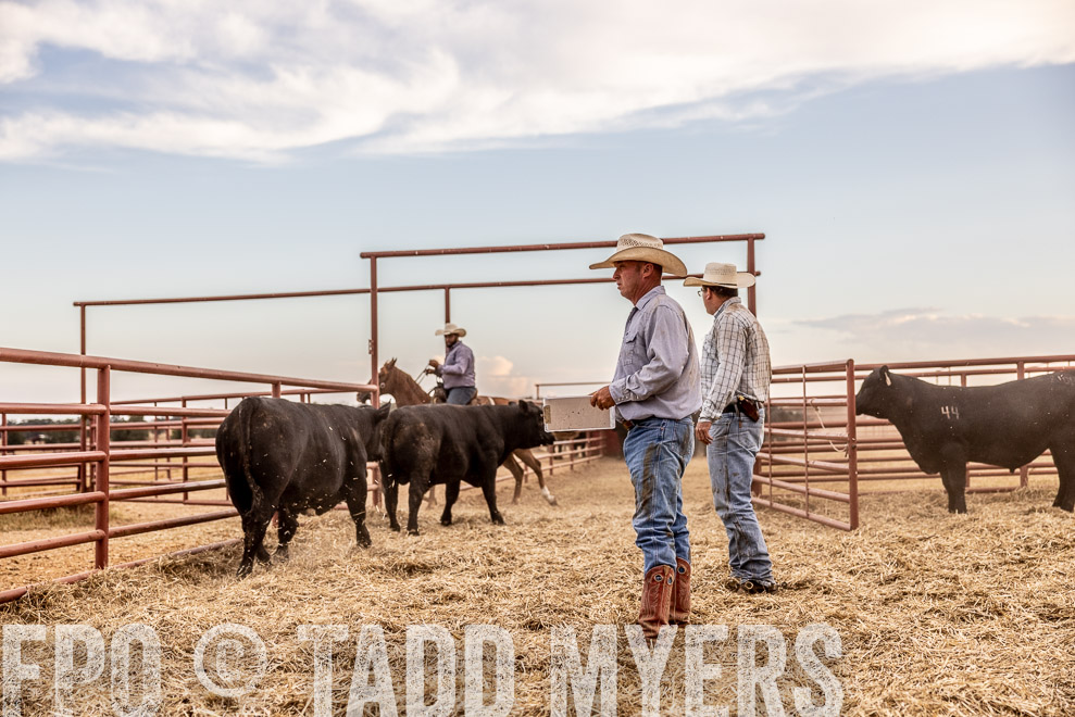 TMyers_SaleBookCover_CameronTX_Sept2021-521844