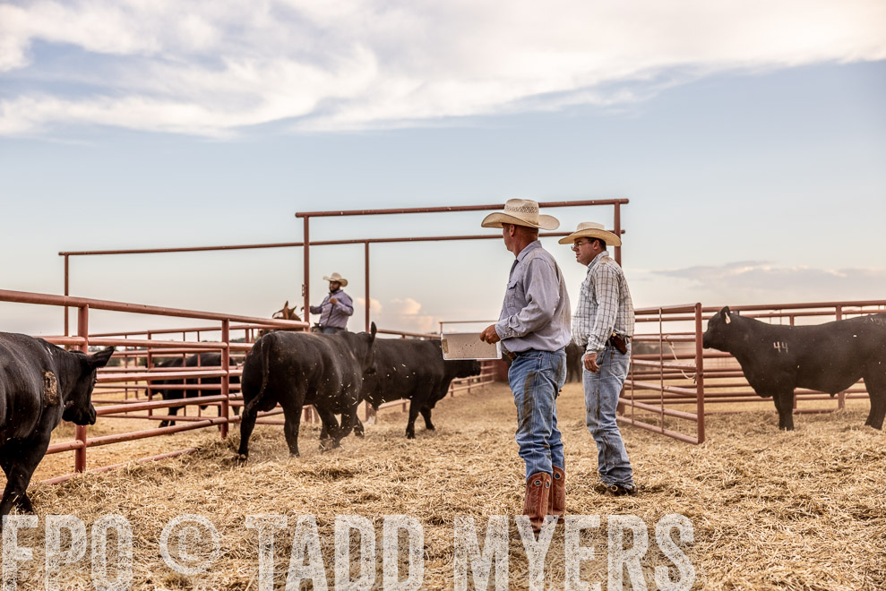 TMyers_SaleBookCover_CameronTX_Sept2021-521846