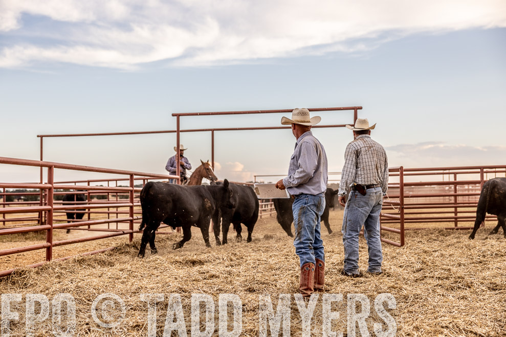 TMyers_SaleBookCover_CameronTX_Sept2021-521849