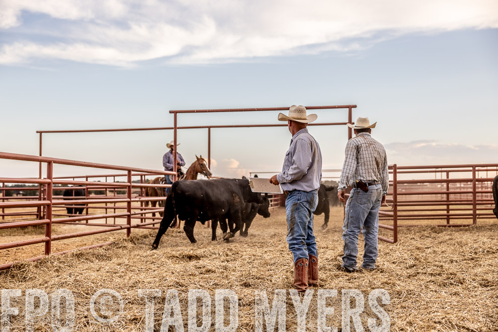 TMyers_SaleBookCover_CameronTX_Sept2021-521851