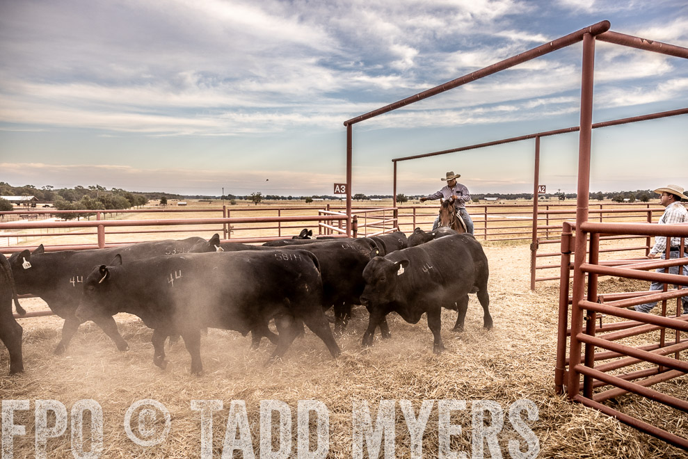 TMyers_SaleBookCover_CameronTX_Sept2021-521876