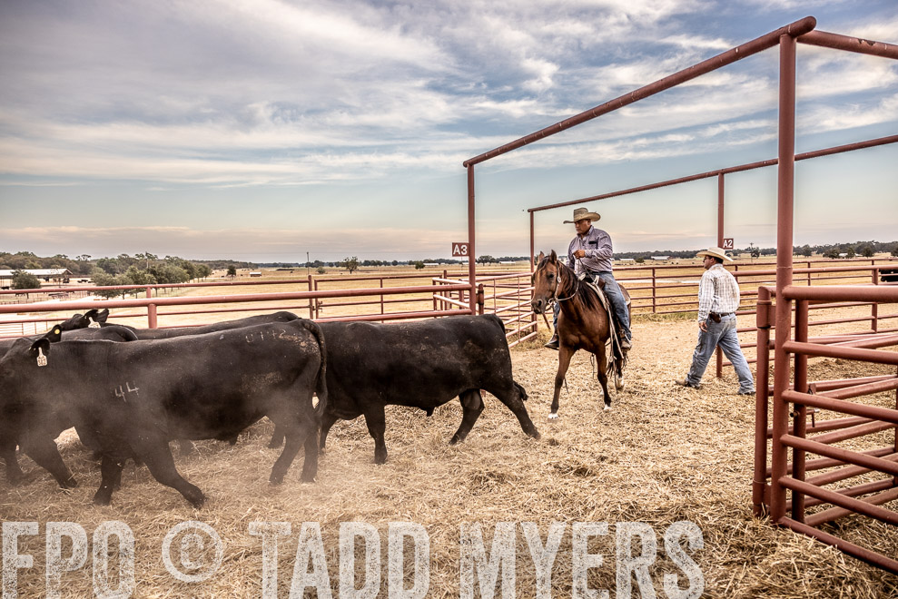 TMyers_SaleBookCover_CameronTX_Sept2021-521878