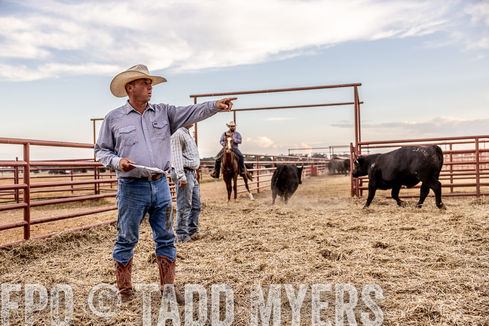 TMyers_SaleBookCover_CameronTX_Sept2021-522015