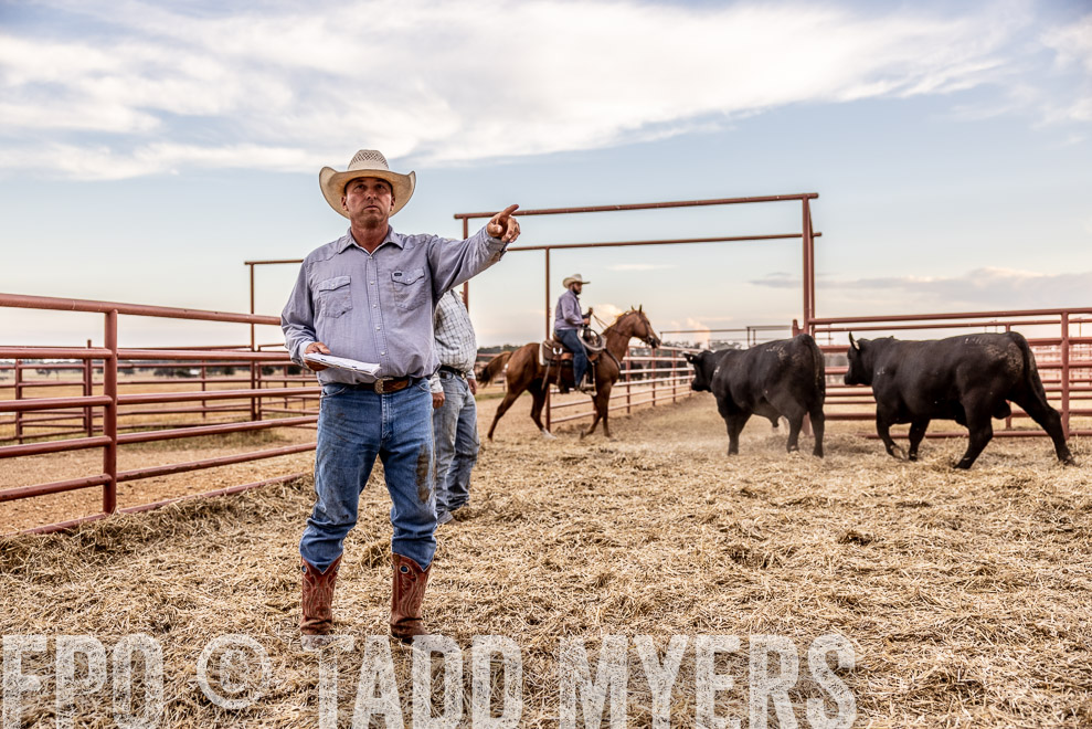 TMyers_SaleBookCover_CameronTX_Sept2021-522019