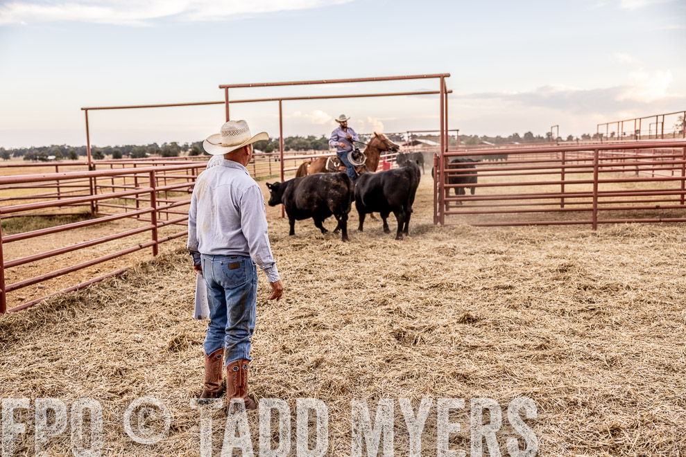 TMyers_SaleBookCover_CameronTX_Sept2021-522047