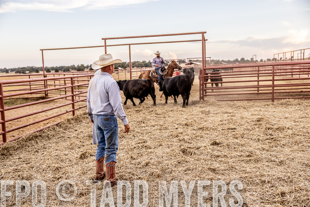 TMyers_SaleBookCover_CameronTX_Sept2021-522048