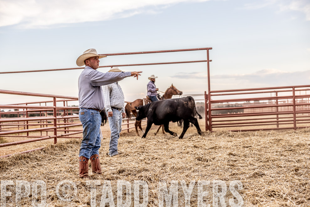 TMyers_SaleBookCover_CameronTX_Sept2021-522095