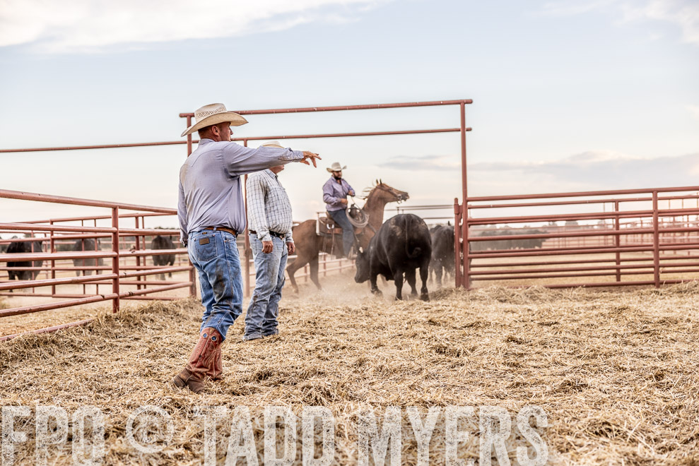 TMyers_SaleBookCover_CameronTX_Sept2021-522107