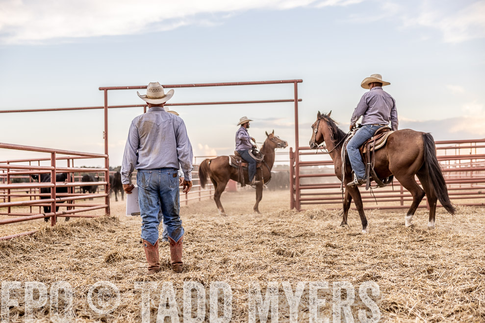 TMyers_SaleBookCover_CameronTX_Sept2021-522129