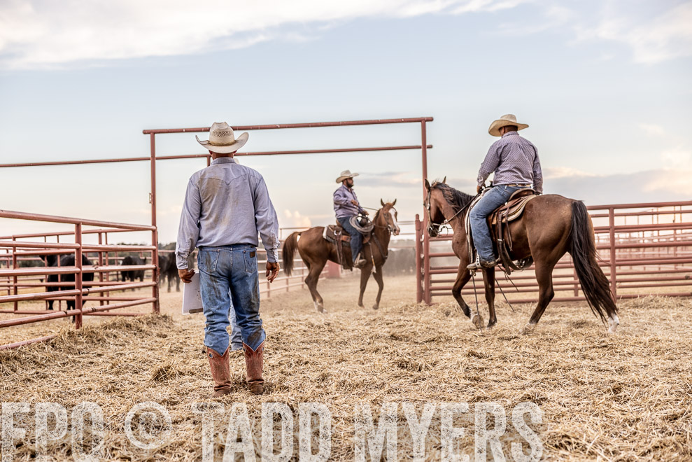 TMyers_SaleBookCover_CameronTX_Sept2021-522130