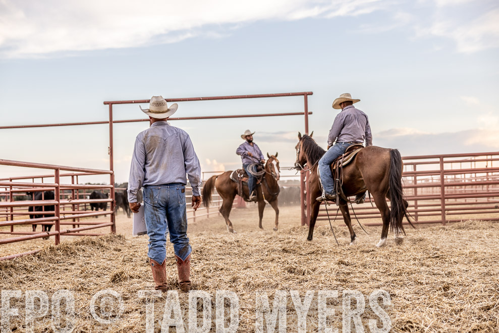 TMyers_SaleBookCover_CameronTX_Sept2021-522131