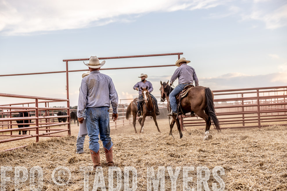 TMyers_SaleBookCover_CameronTX_Sept2021-522132