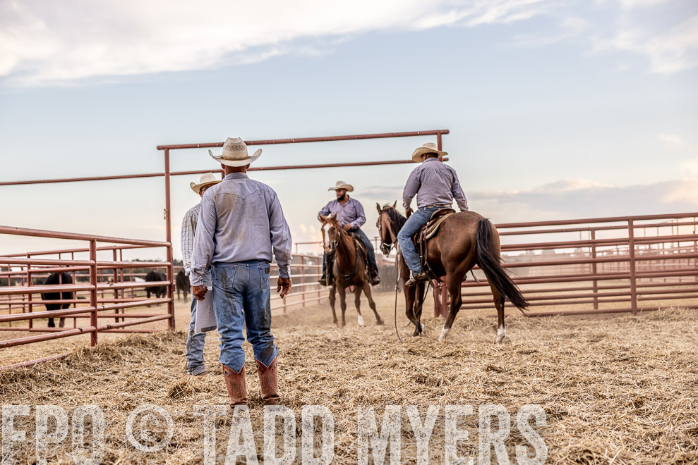TMyers_SaleBookCover_CameronTX_Sept2021-522133