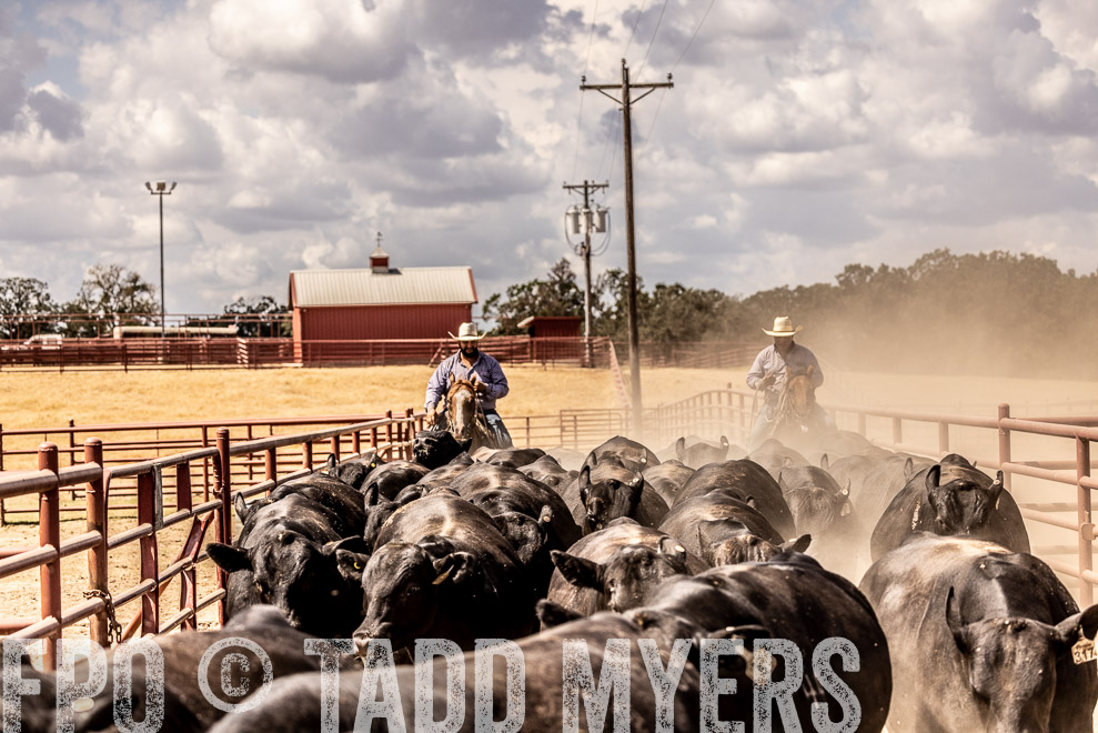 TMyers_SaleBookCover_CameronTX_Sept2021-528662