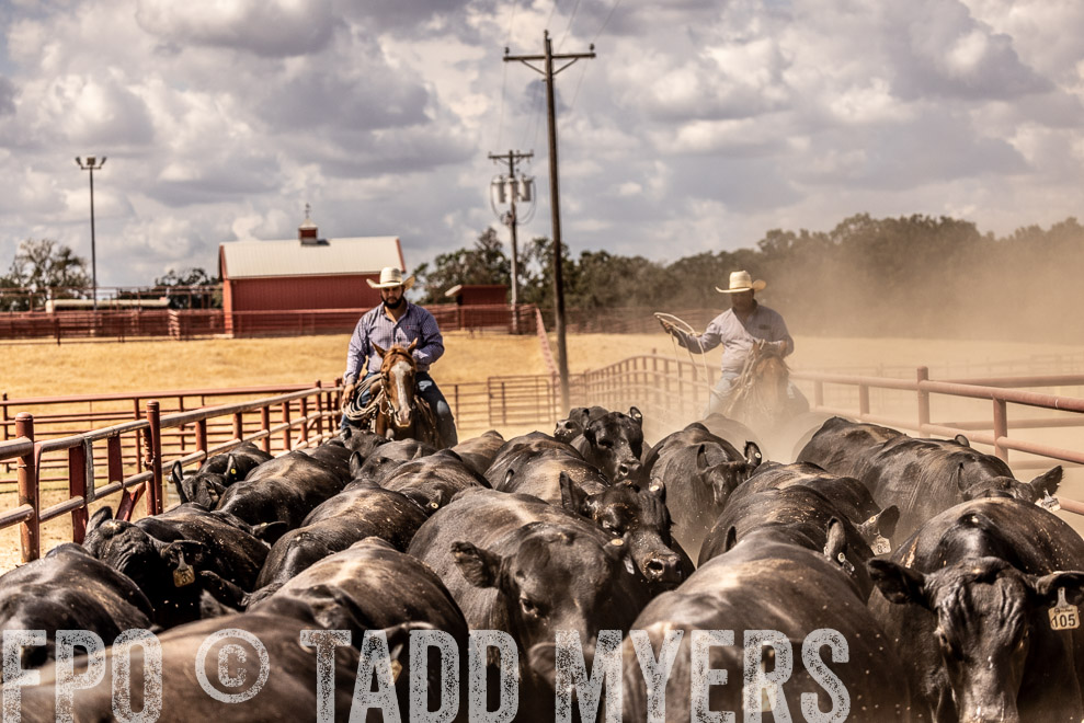 TMyers_SaleBookCover_CameronTX_Sept2021-528664