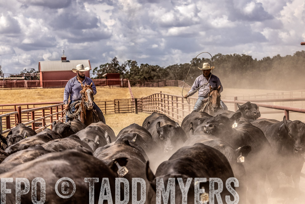 TMyers_SaleBookCover_CameronTX_Sept2021-528671-Edit
