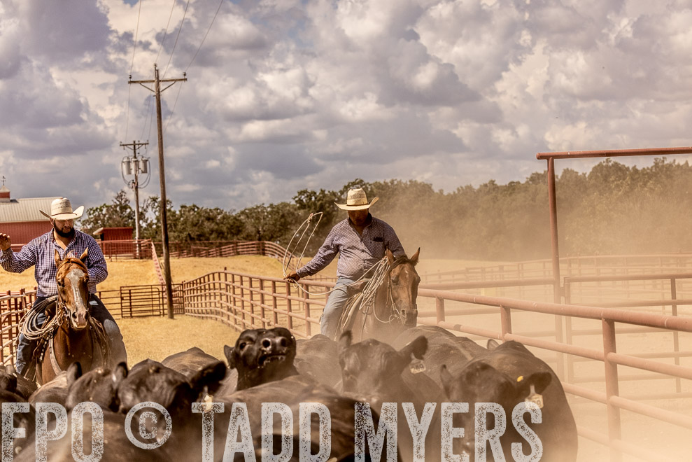 TMyers_SaleBookCover_CameronTX_Sept2021-528674