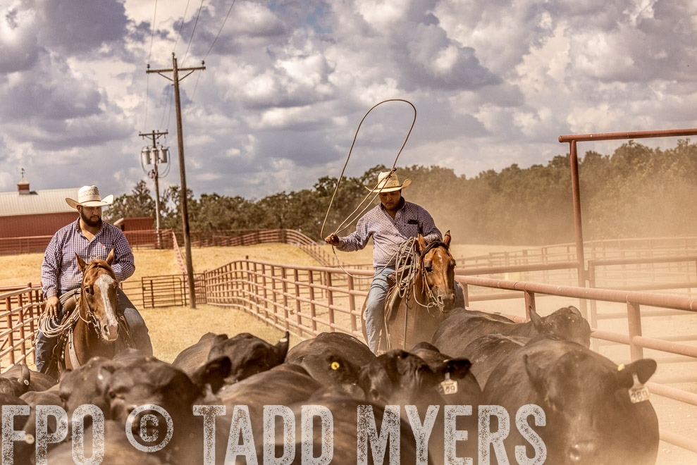 TMyers_SaleBookCover_CameronTX_Sept2021-528677