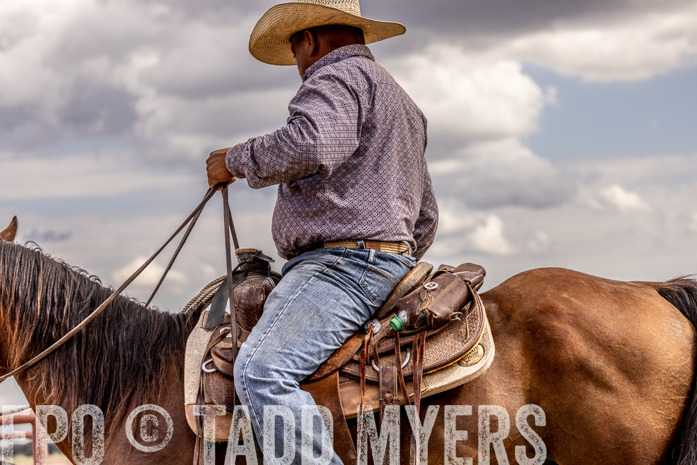 TMyers_SaleBookCover_CameronTX_Sept2021-528696