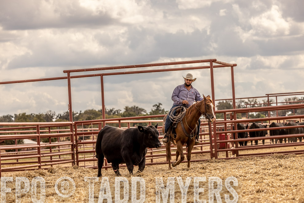 TMyers_SaleBookCover_CameronTX_Sept2021-528736