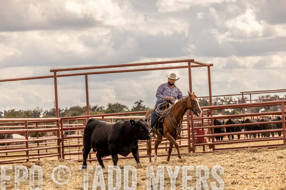 TMyers_SaleBookCover_CameronTX_Sept2021-528737